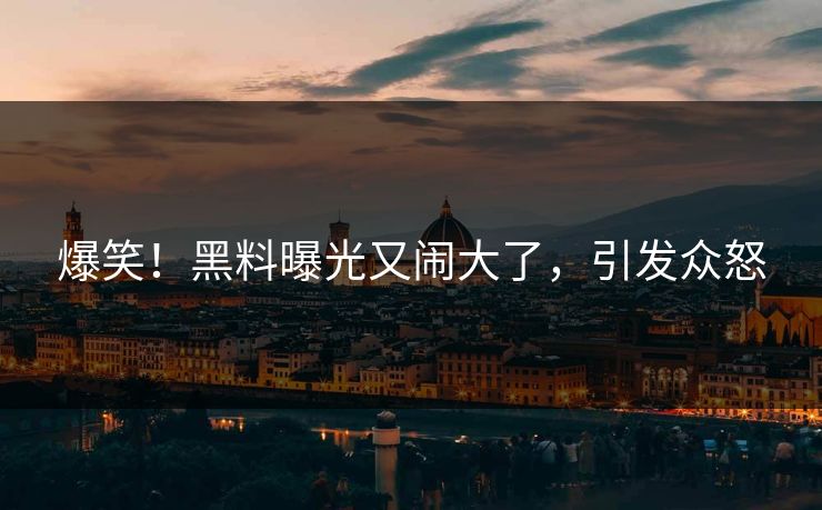 爆笑!黑料曝光又闹大了,引发众怒