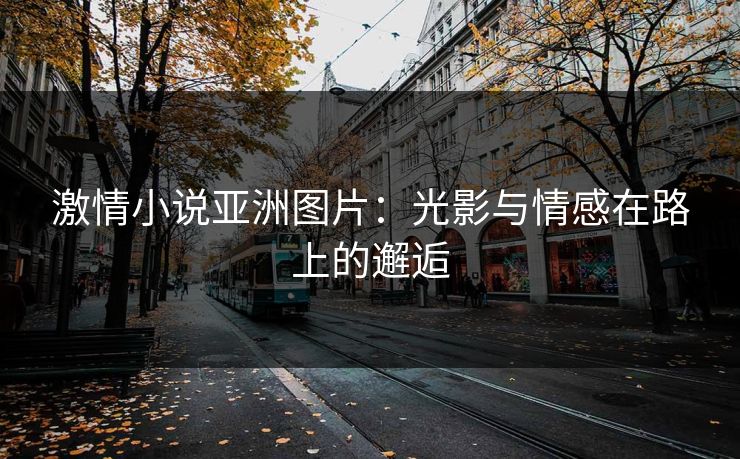 激情小说亚洲图片：光影与情感在路上的邂逅
