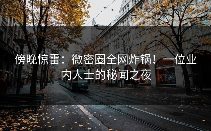 傍晚惊雷：微密圈全网炸锅！一位业内人士的秘闻之夜
