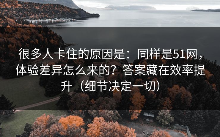 很多人卡住的原因是：同样是51网，体验差异怎么来的？答案藏在效率提升（细节决定一切）